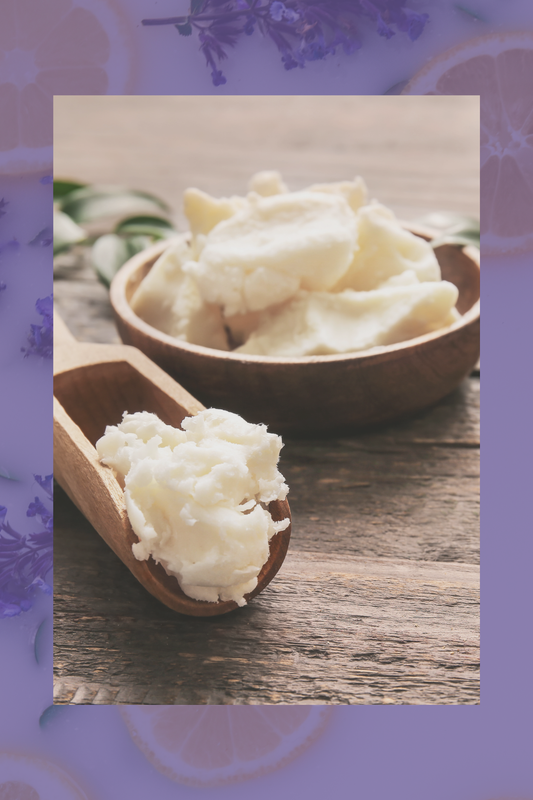 Matcha Green Tea Body Butter – Antioxidant Rich Hydrating Cream (8 oz)