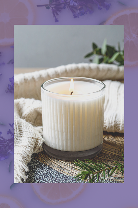 Evergreen Forest Soy Candle – Winter Woods Aromatherapy (8 oz)